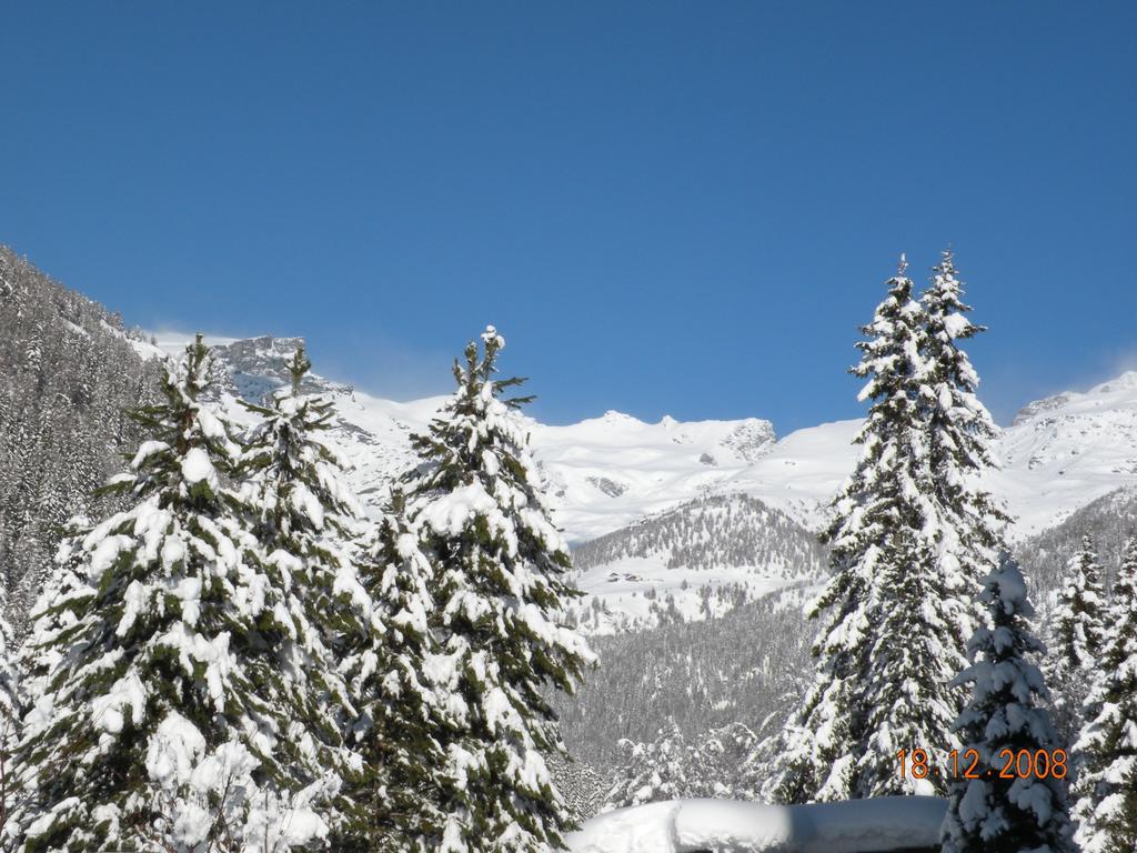 Hotel Bellevue Champoluc Eksteriør billede